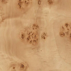 Parallel 63.25 Inch 150 Watt Natural Burl Wood Floor Lamp Portable Light -Home Lighting 1parall flna 3