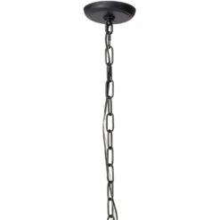 Blooming 12 Light 30 Inch Black Chandelier Ceiling Light -Home Lighting 5bloo blck 5